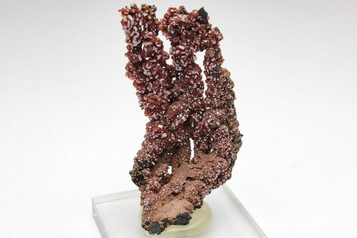 Lustrous Vanadinite Crystals on Goethite Stalactites - Morocco #209293